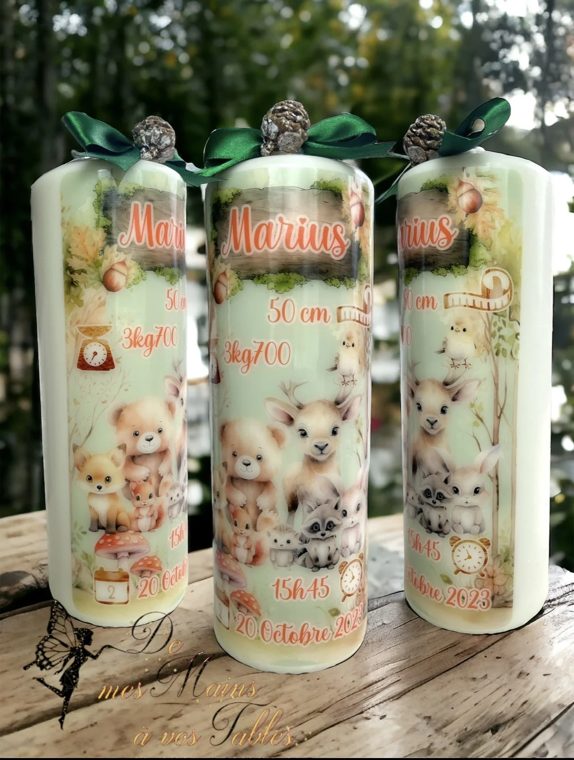 Bougie naissance Animaux de la forêt